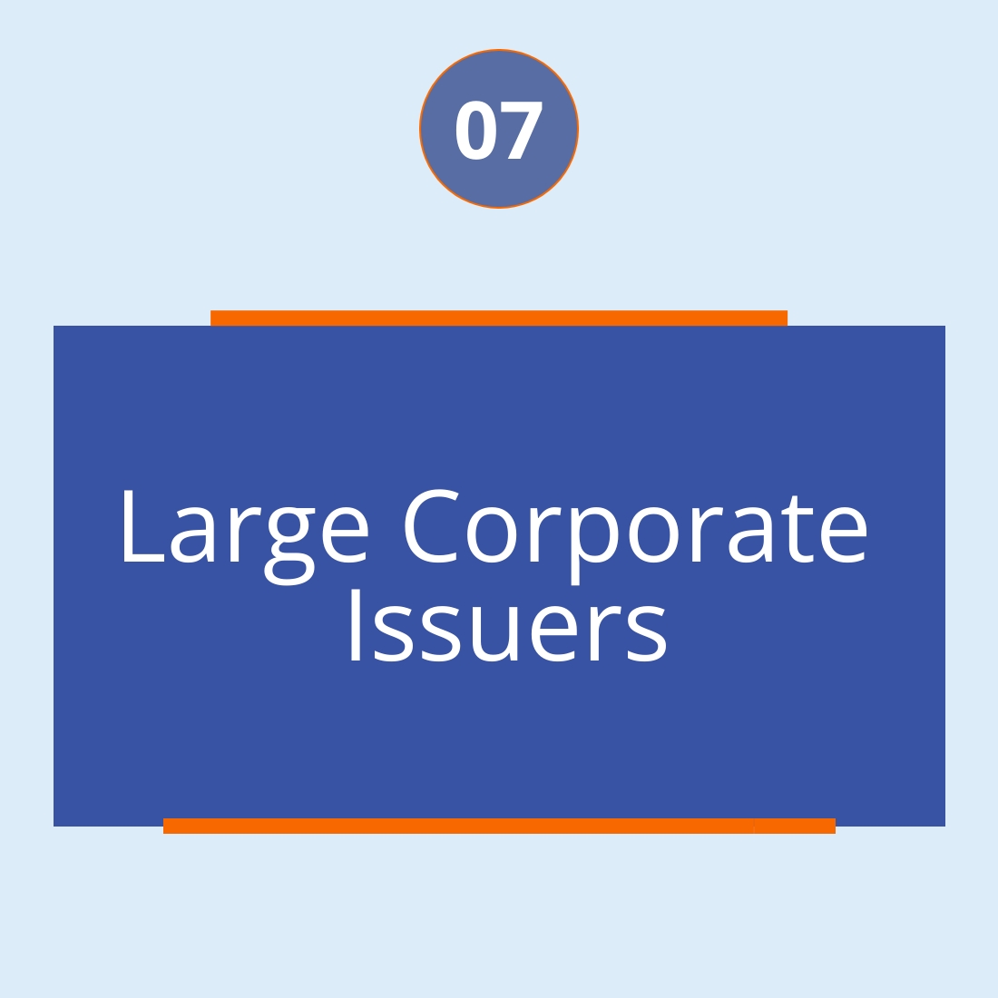 Large Corporate Issuers